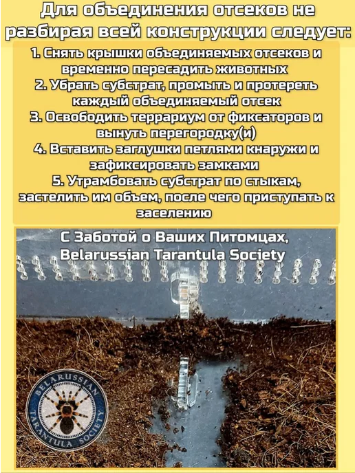 BTS_BY Заглушки к террариумам 3в1, белый, фото 3