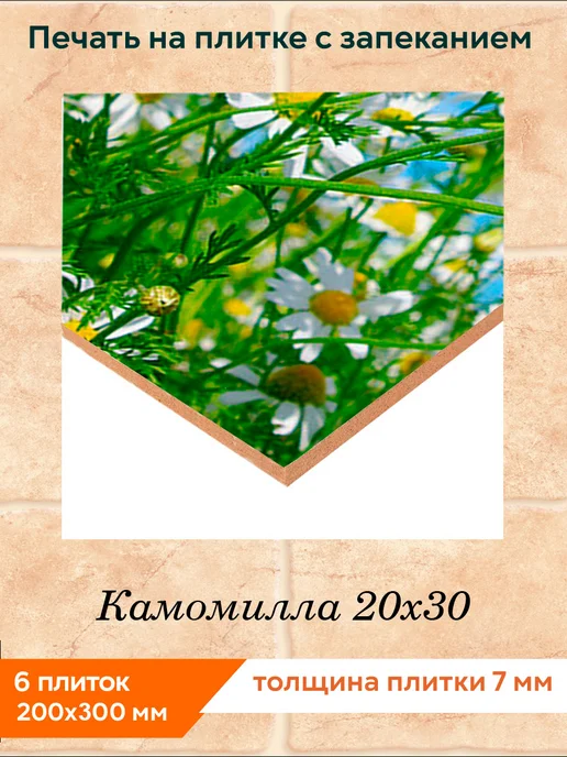 fres-co Панно из керамической плитки Камомилла 20х30, 20x30, фото 2
