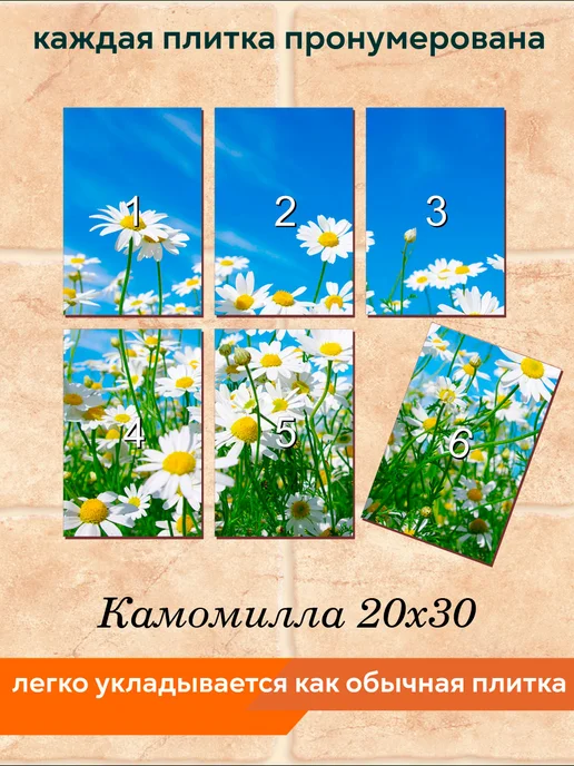 fres-co Панно из керамической плитки Камомилла 20х30, 20x30, фото 4