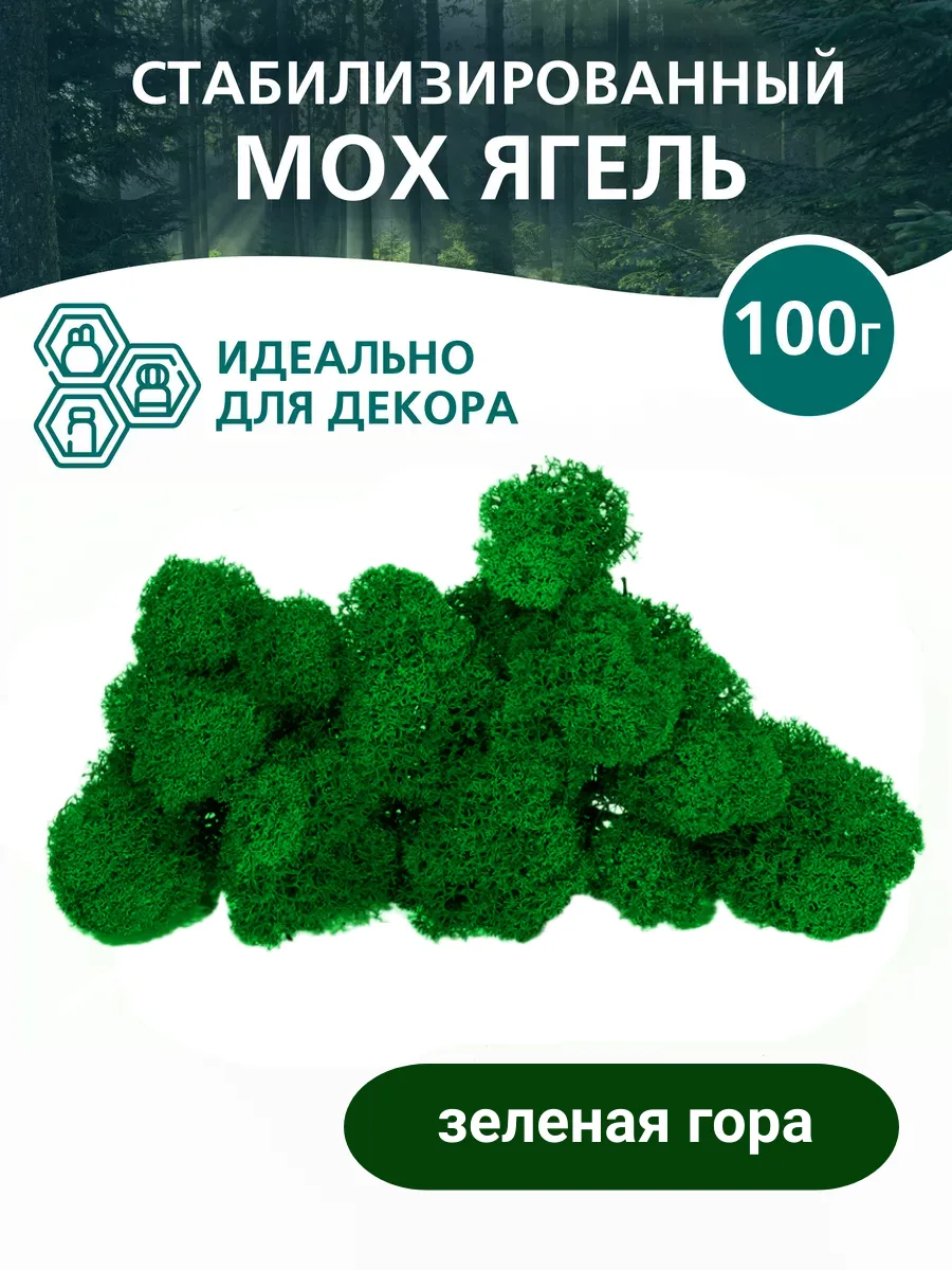 Стабилизированный мох отборный 100 грамм зеленый папоротник