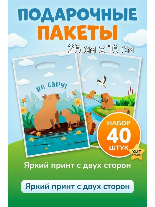 ЮНаУют Набор Пакетов с капибарой в детский сад и школу для подарков, голубой