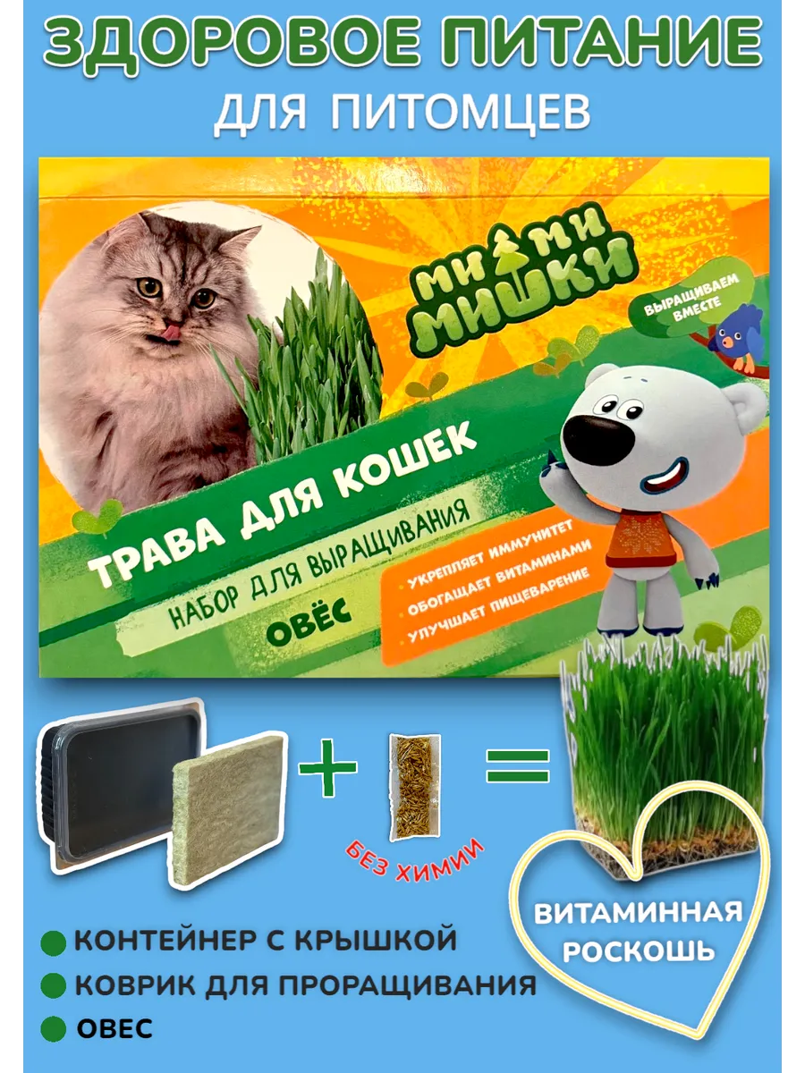 Трава для кошек Овес, набор