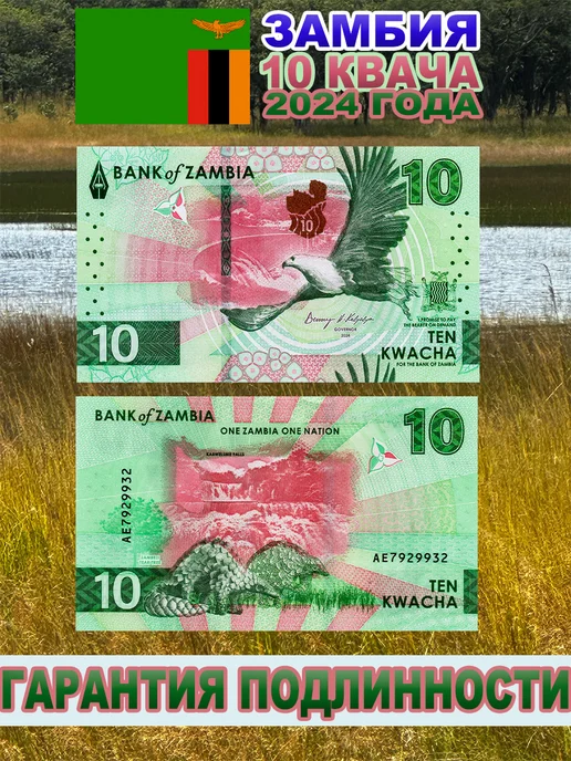 BANKNOTY.RU Банкнота Замбия 10 Квача 2024 года UNC, вариант