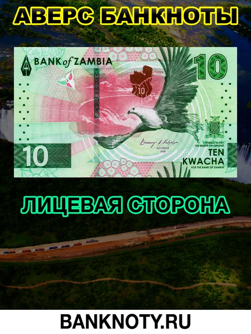 BANKNOTY.RU Банкнота Замбия 10 Квача 2024 года UNC, вариант, фото 2