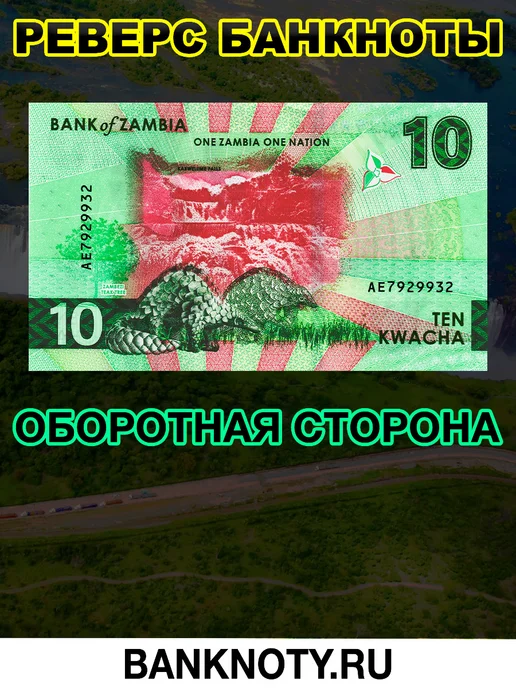 BANKNOTY.RU Банкнота Замбия 10 Квача 2024 года UNC, вариант, фото 3
