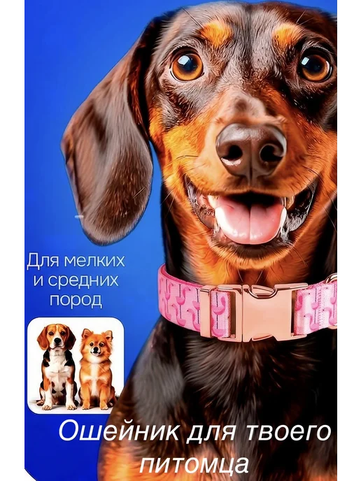 Стильный хвост Ошейник для собак маленьких и средних пород, розовый