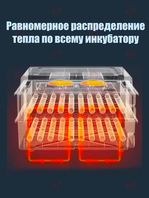 gears up Инкубатор для яиц автоматический с терморегулятором, синий, в упаковке 1,5 кг, фото 2