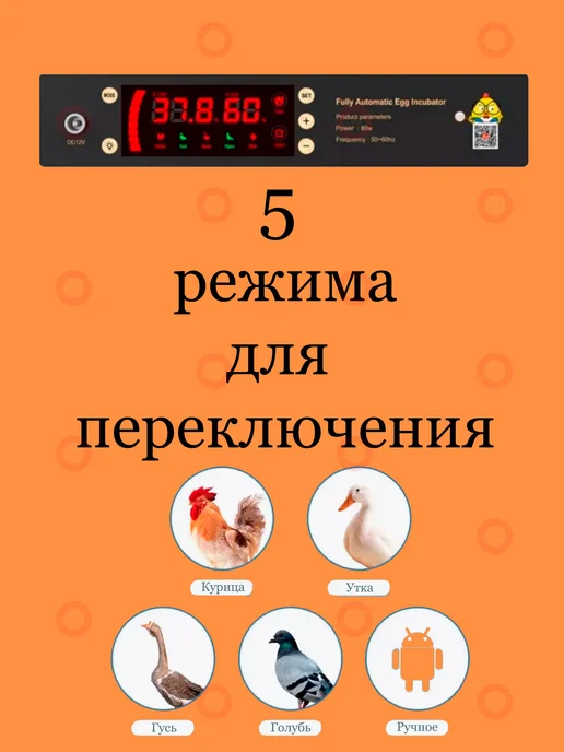 gears up Инкубатор для яиц автоматический с терморегулятором, синий, в упаковке 1,5 кг, фото 4