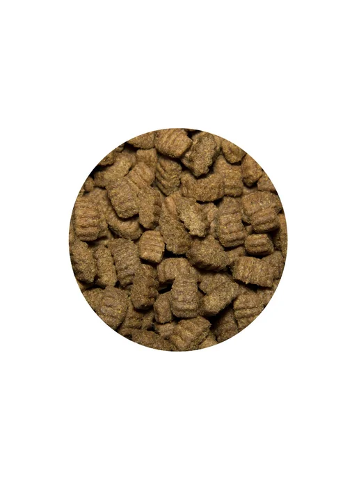 Сухой корм All Dogs для собак, курица, 2,2 кг, фото 3