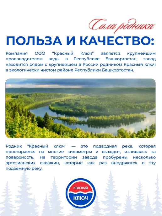 Красный ключ Напиток газированный со вкусом "Апельсин", 6 шт по 1,5л, 6 шт, 1,5 л, фото 4