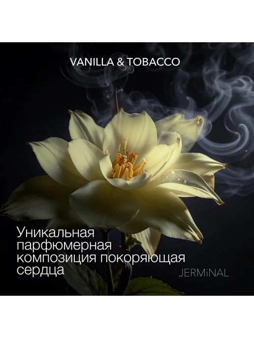 JERMiNAL -COSMETICS- Парфюмированный шампунь для всех типов волос Амбра табак 3 л, 3 л, фото 2