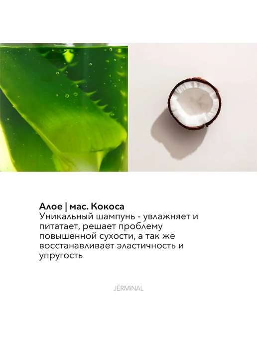 JERMiNAL -COSMETICS- Парфюмированный шампунь для тонких волос вишня табак 3л, 3 л, фото 5