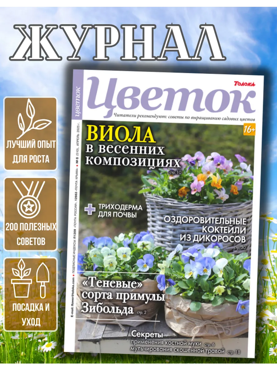 журнал о садовых цветах №8.Лучшие сорта примулы для тени
