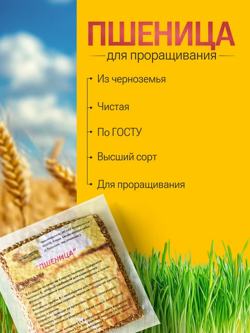 Живое зерно Пшеница для проращивания 1кг, 1 кг, фото 5