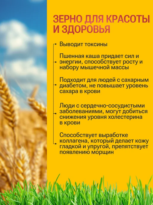 Живое зерно Пшеница для проращивания 1кг, 1 кг, фото 8