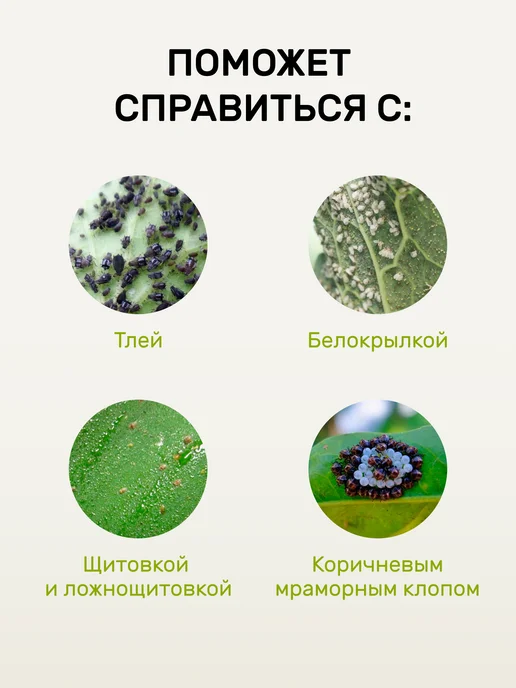 Люби, Выращивай! Биоспрей для защиты растений от тли и белокрылки 450мл, 450 мл, фото 3