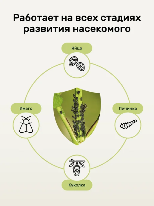 Люби, Выращивай! Биоспрей для защиты растений от тли и белокрылки 450мл, 450 мл, фото 4
