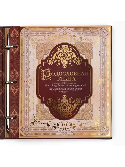 Порядок во всем Родословная книга с рамкой под фото 50 листов, 21,5х23,7 см, 21.5x23.7 см, фото 5