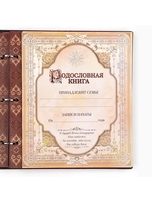 Порядок во всем Родословная книга с рамкой под фото 50 листов, 21,5х23,7 см, 21.5x23.7 см, фото 7