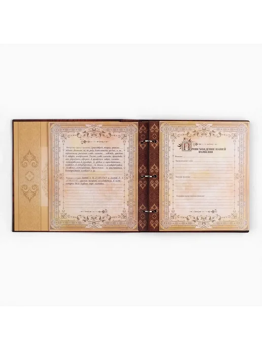 Порядок во всем Родословная книга с рамкой под фото 50 листов, 21,5х23,7 см, 21.5x23.7 см, фото 8
