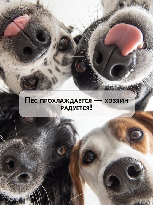 Honey GinGer Охлаждающий коврик для собак и кошек 50х70 см, 50x70 см, фото 7