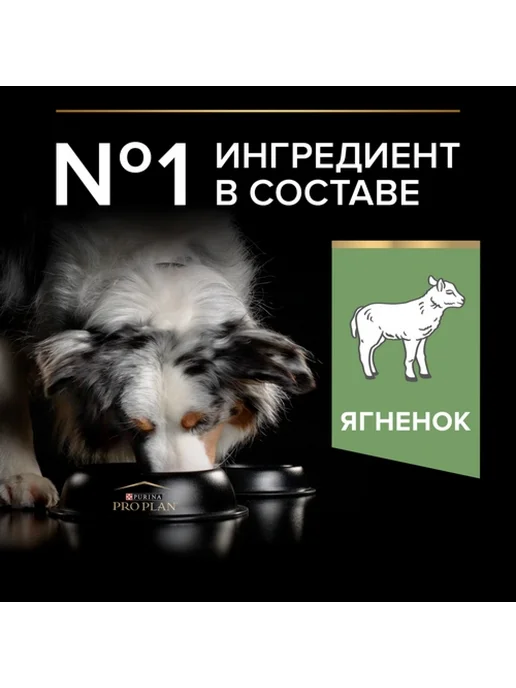Сухой корм PRO PLAN Жкт для собак, средние, чувствительное пищеварение, ягненок, 7 кг, фото 3