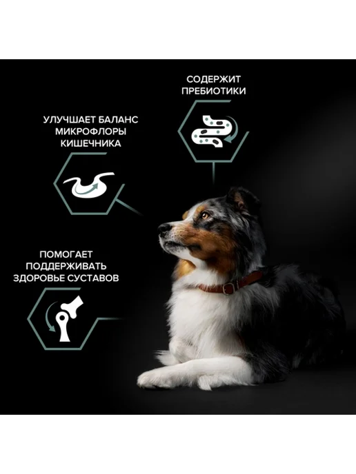 Сухой корм PRO PLAN Жкт для собак, средние, чувствительное пищеварение, ягненок, 7 кг, фото 4