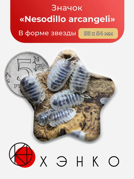 Shiro utsuri Nesodillo arcangelii Значок