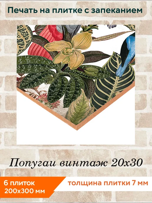 fres-co Панно из керамической плитки Попугаи винтаж 20х30, 20x30, фото 2