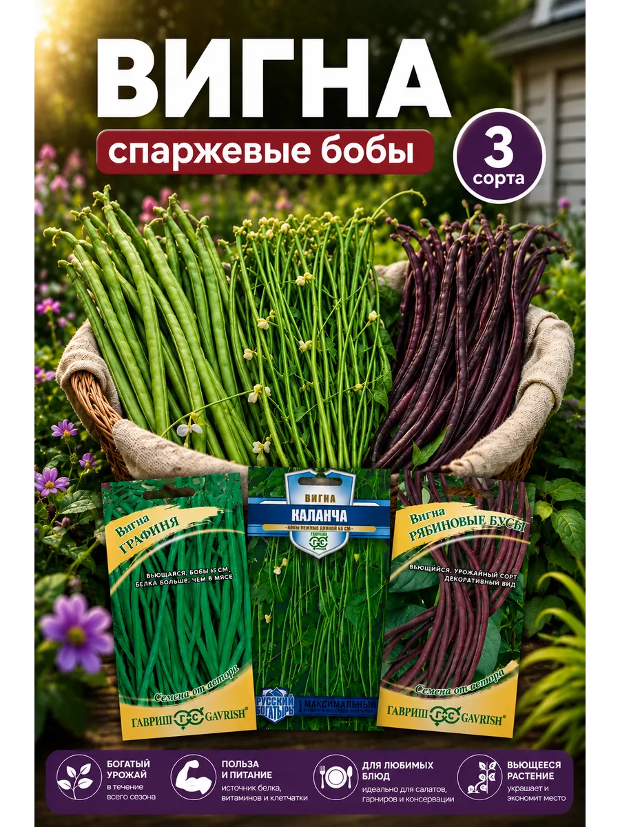 Семена вигна фасоль