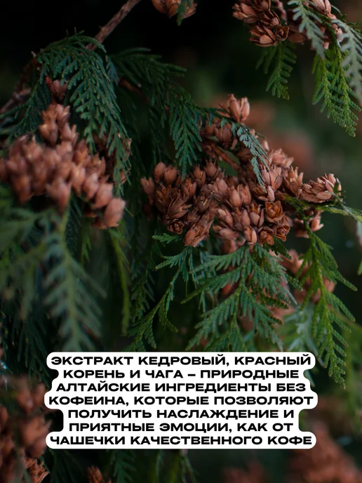 Рифмы Здоровья Таёжный кофе Классический и Сливочный, без кофеина, 2 шт, 150 г, 2 шт, фото 3