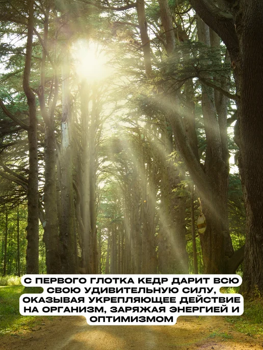 Рифмы Здоровья Таёжный кофе Классический и Сливочный, без кофеина, 2 шт, 2 шт, фото 2