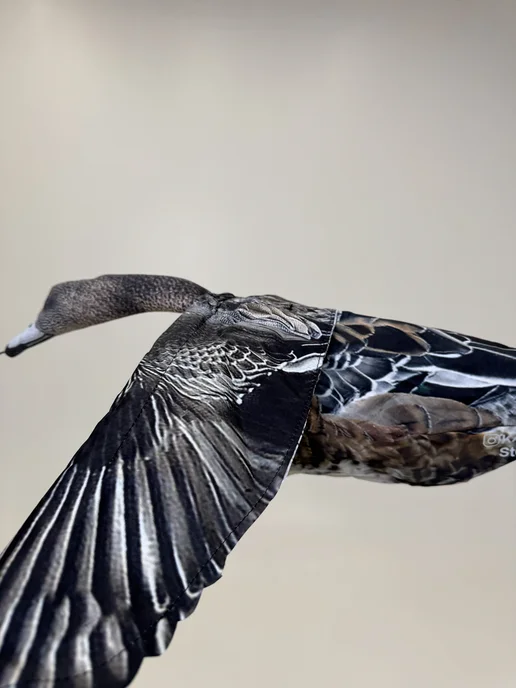 Kaz.goose.stepok Чучело серой утки для охоты, вариант, фото 2