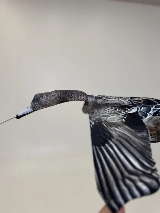 Kaz.goose.stepok Чучело серой утки для охоты, вариант, фото 3