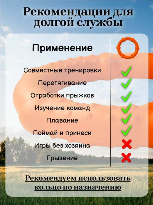 Зооник Кольцо для собак средних и маленьких пород, оранжевый, фото 3
